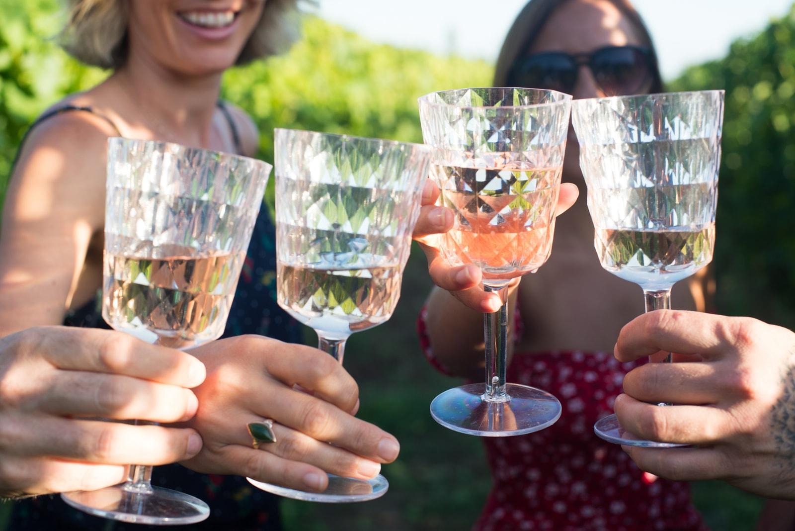 Friends raising glasses during a vineyard tasting