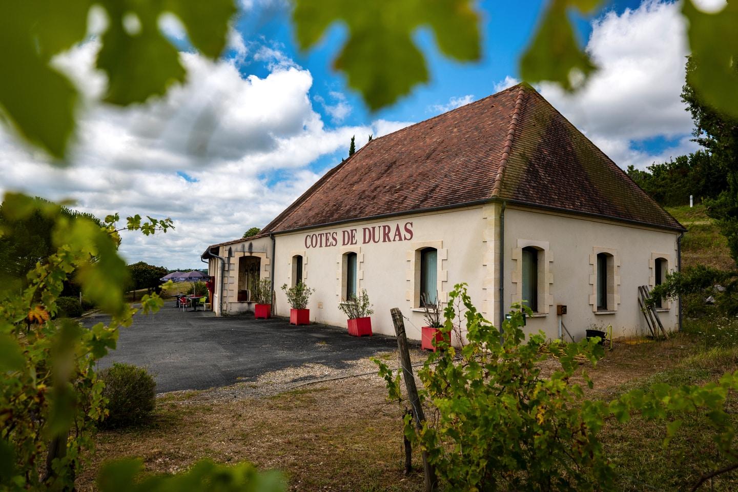Maison des Vins de Duras beneath a tiled roof, framed by vines
