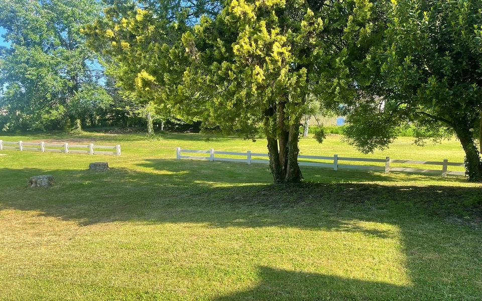 Rasenfläche im Schatten großer Bäume mit weißem Zaun am Gartenrand
