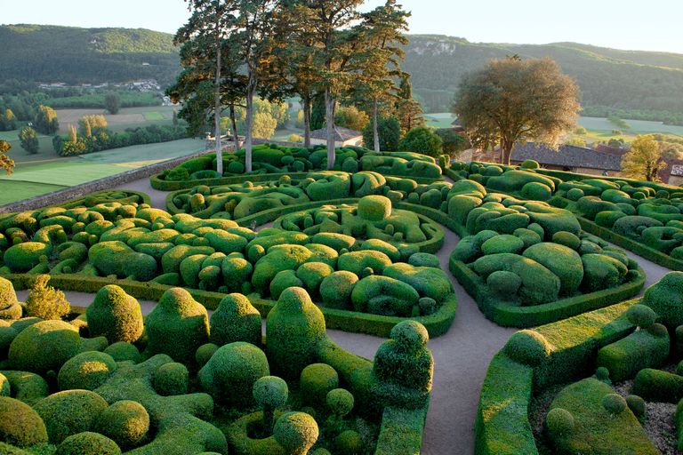 Bojes recortados en formas redondeadas y senderos sinuosos bajo árboles altos en los jardines de Marqueyssac.
