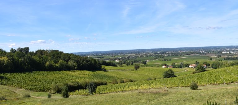 Rangs de vignes et bâtiments agricoles sur les coteaux de Monbazillac, avec la vallée de la Dordogne à l’arrière-plan